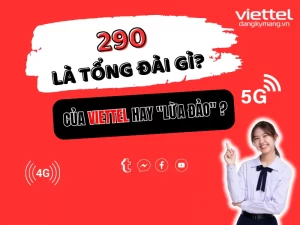 TỔNG ĐÀI 290 LÀ GÌ